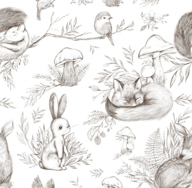 Sketchy Forest Animals by Pookys World