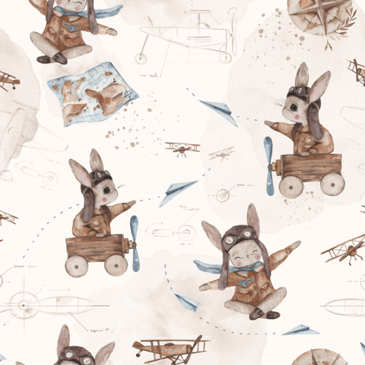 let's fly by Pookys World