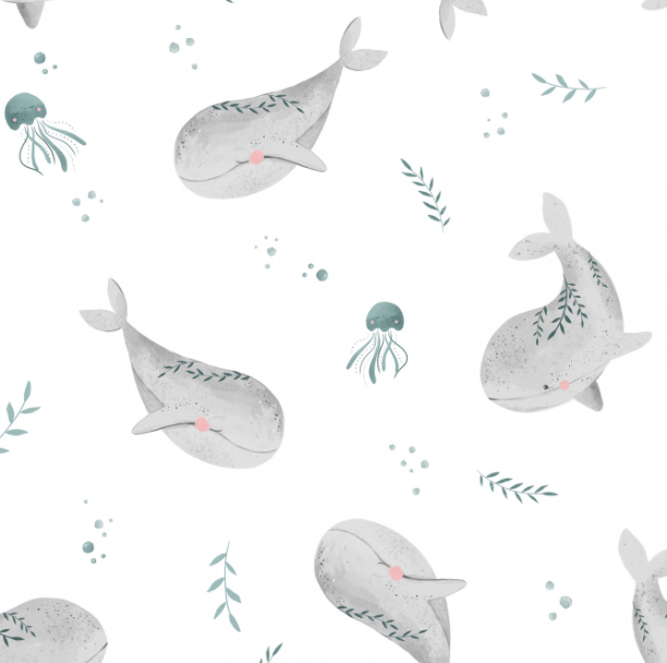 Whales by Pookys World