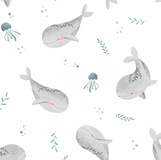 Whales by Pookys World