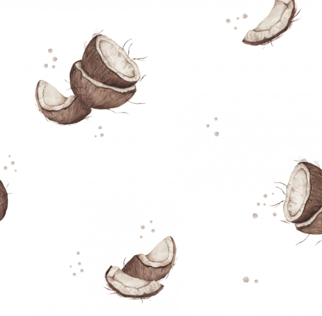 Coconuts white by Pookys World